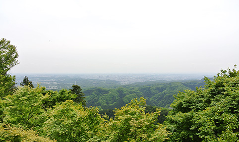 Mt. Takao