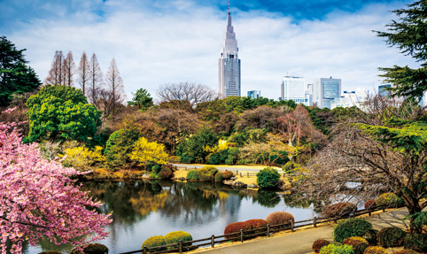 Hanami