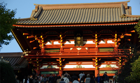 Beauty and Tradition in Kamakura